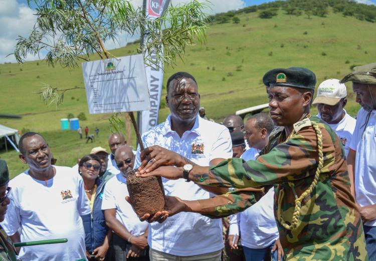 The CS for Energy and Petroleum Davis Chirchir led staff from the ministry in planting 1, 100 trees at Kona Baridi in Ngong Forest, Nairobi