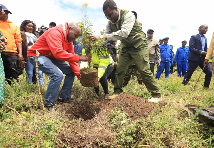 CS FOR ENERGY, PETROLUEM LEADS STAFF, COMMUNITY IN A TREES PLANTING EXCERCISE